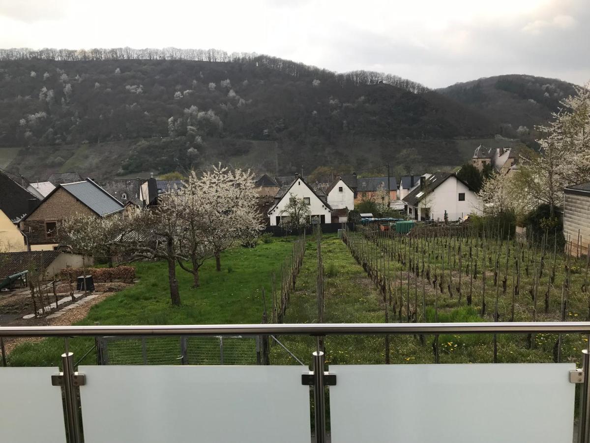 Ferienwohnung " Wein Unter Palmen " Neumagen-Dhron Luaran gambar