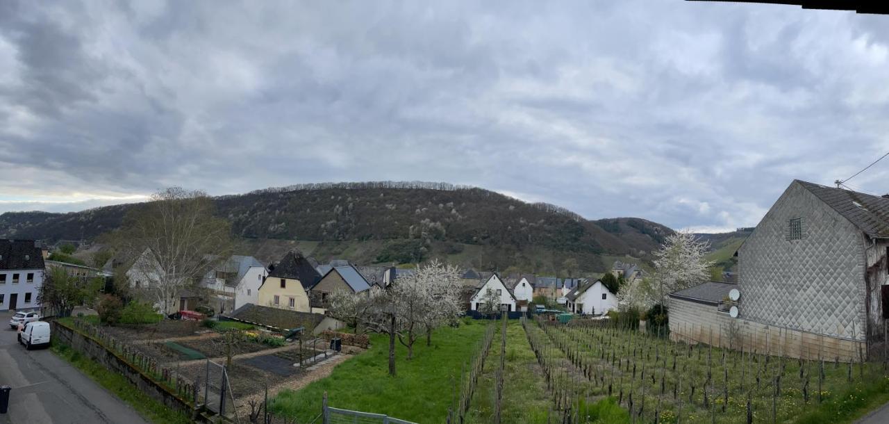 Ferienwohnung " Wein Unter Palmen " Neumagen-Dhron Luaran gambar